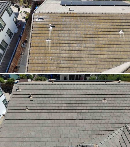 How Regular Roof Cleaning Can Extend the Life of Your Sacramento Home