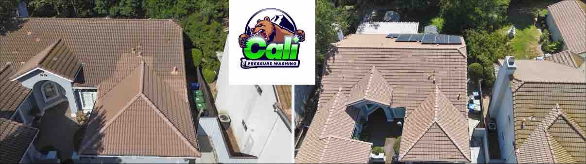 Best Roof cleaning In Elk Grove C.A 5 Year Guarantee No Moss or Algae Re Growth 