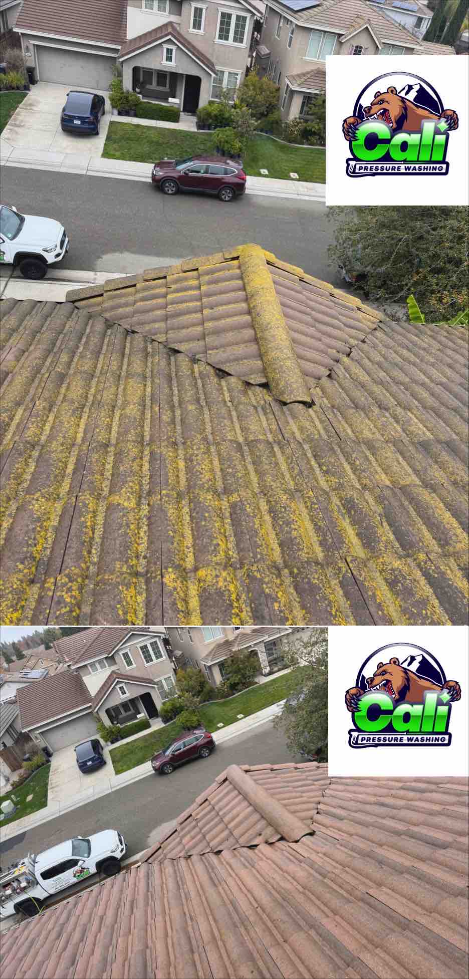 Roof Moss and Algae Removal In Elk Grove C.A 
