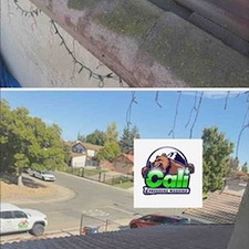 Super-El-Nino-Readiness-Roof-Cleaning-in-Sacramento-CA 3