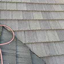 Top-Moss-Removal-and-Roof-Cleaning-in-Elk-Grove-CA 1