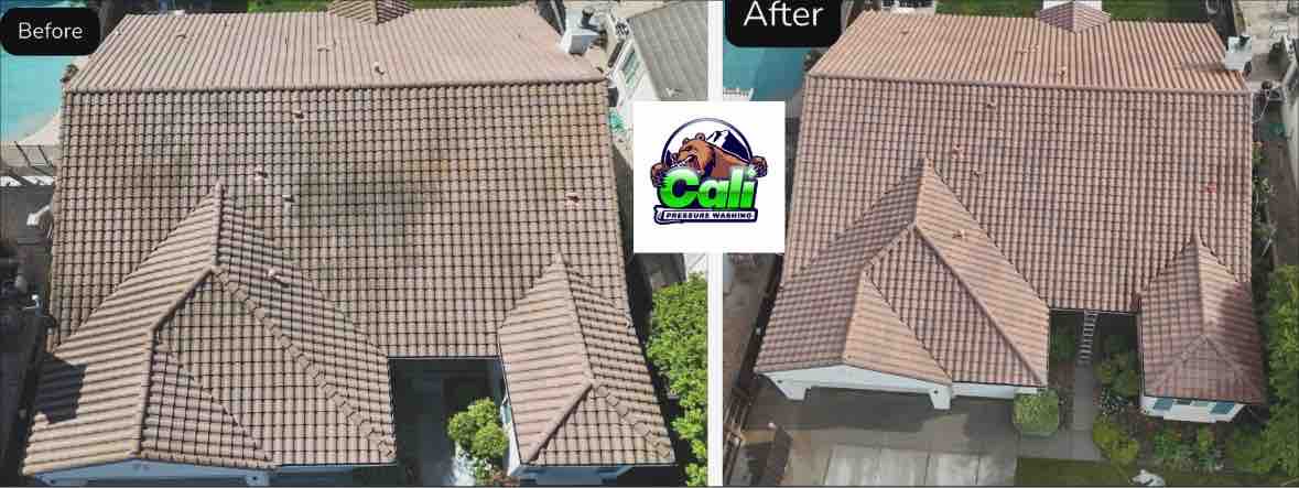 Top Quality Roof and House washing in Dixon C.A