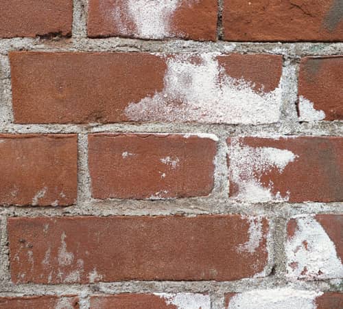 Oxidation & Rust Removal Image