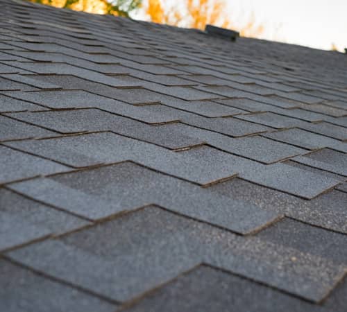 Roof Cleaning
